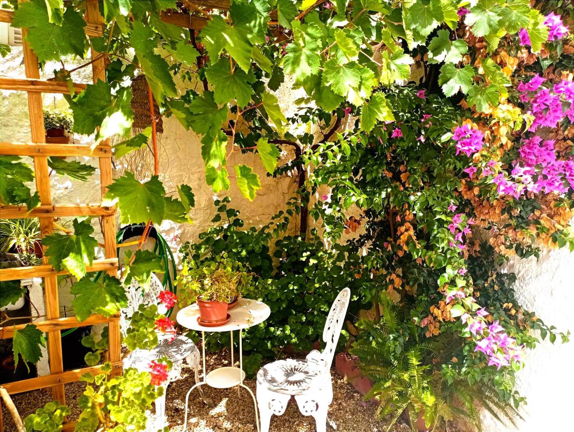 Casa Shyshka Country Cottage 佩里那 外观 照片